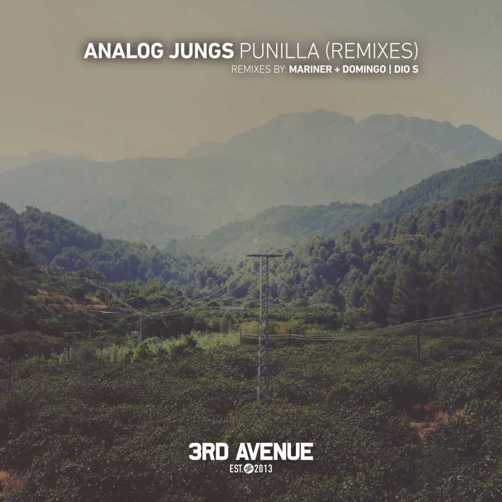 Analog Jungs - Punilla (Remixes) [3AV233]